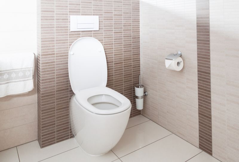 Toilet Installation Service in Denver, CO